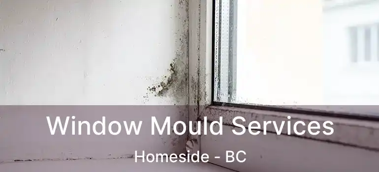  Window Mould Services Homeside - BC