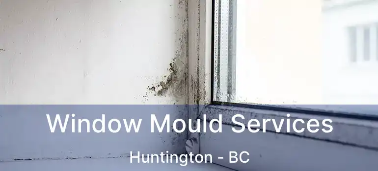  Window Mould Services Huntington - BC