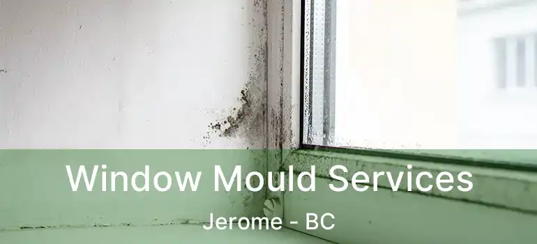  Window Mould Services Jerome - BC