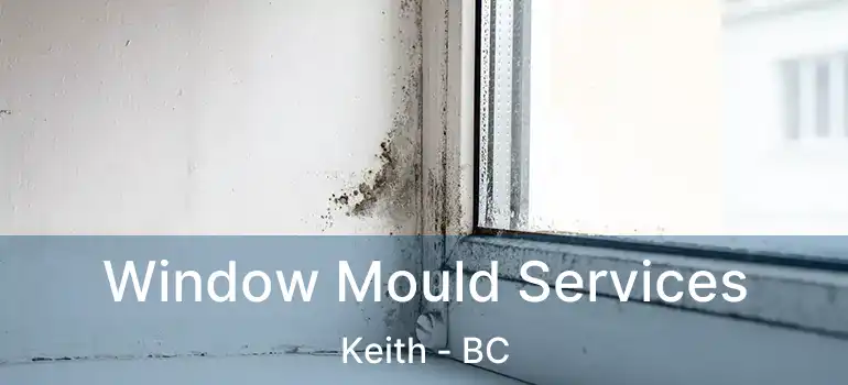  Window Mould Services Keith - BC