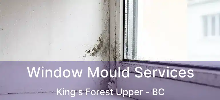  Window Mould Services King s Forest Upper - BC