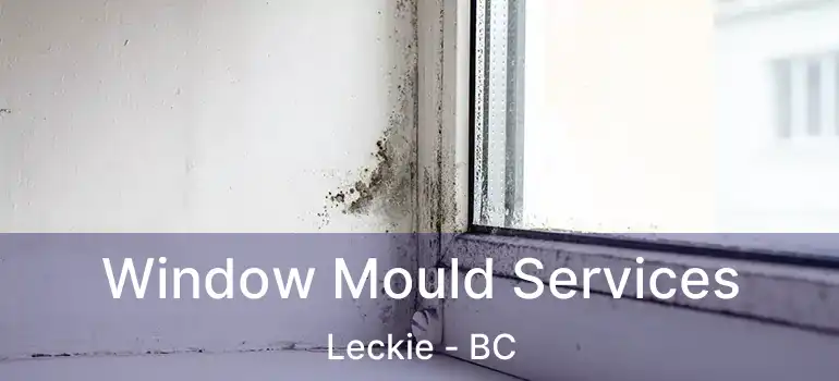  Window Mould Services Leckie - BC