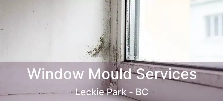  Window Mould Services Leckie Park - BC