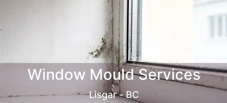  Window Mould Services Lisgar - BC