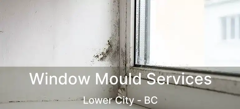  Window Mould Services Lower City - BC