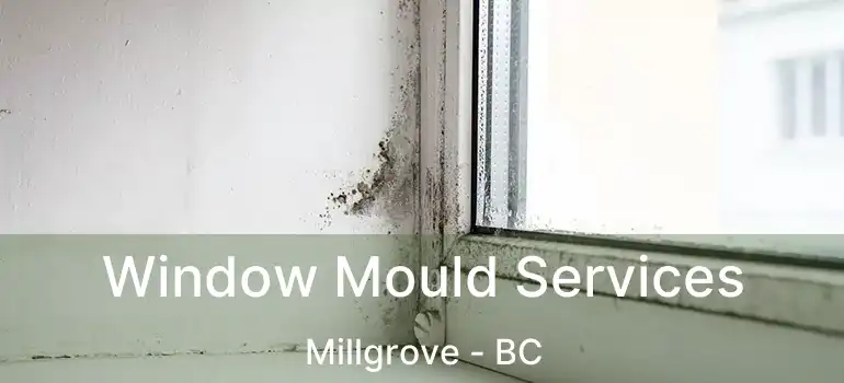  Window Mould Services Millgrove - BC