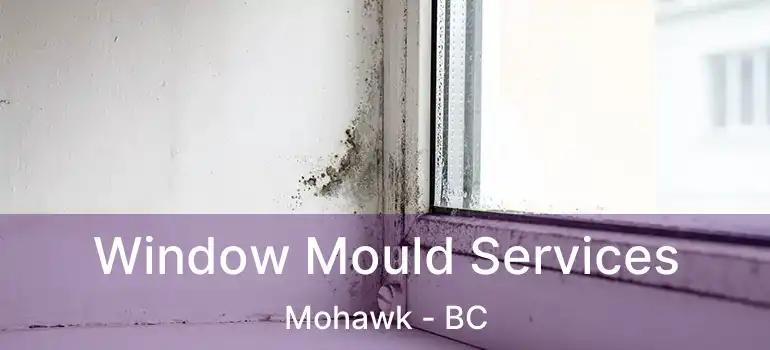  Window Mould Services Mohawk - BC