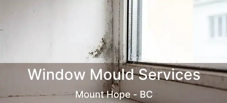  Window Mould Services Mount Hope - BC