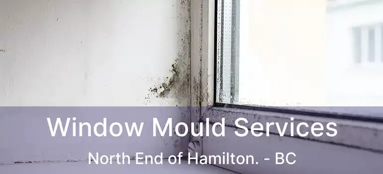  Window Mould Services North End of Hamilton. - BC