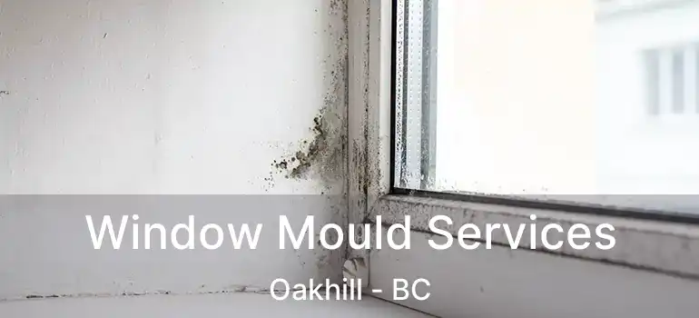  Window Mould Services Oakhill - BC