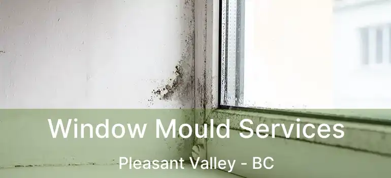  Window Mould Services Pleasant Valley - BC