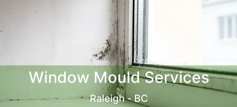  Window Mould Services Raleigh - BC