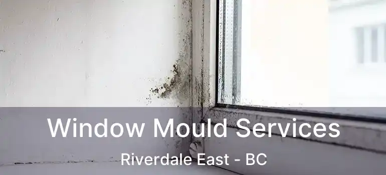  Window Mould Services Riverdale East - BC