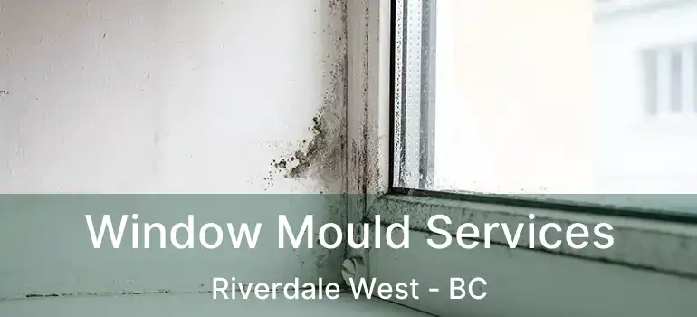  Window Mould Services Riverdale West - BC