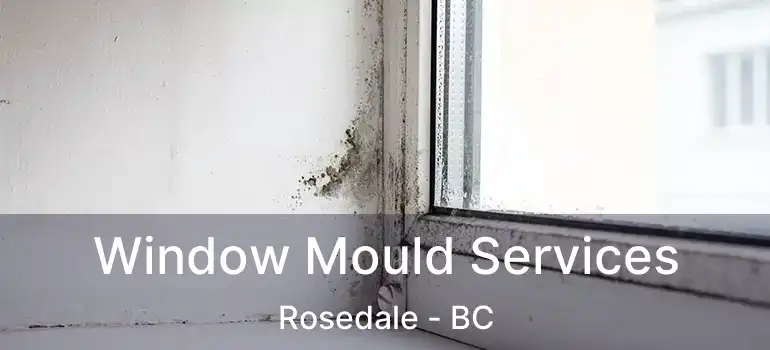  Window Mould Services Rosedale - BC