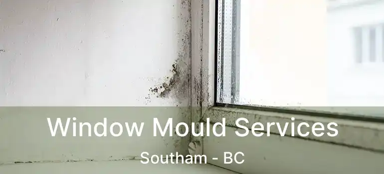  Window Mould Services Southam - BC