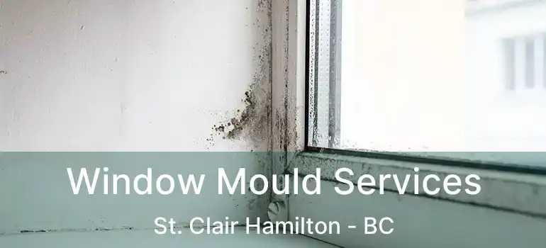  Window Mould Services St. Clair Hamilton - BC