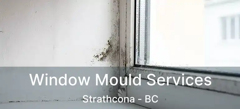  Window Mould Services Strathcona - BC