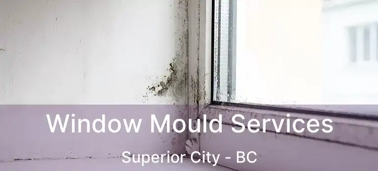  Window Mould Services Superior City - BC