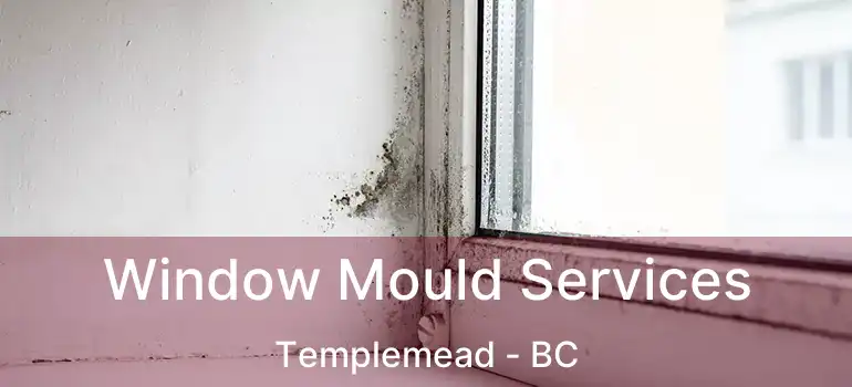  Window Mould Services Templemead - BC