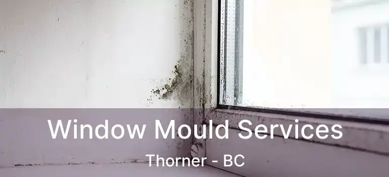  Window Mould Services Thorner - BC