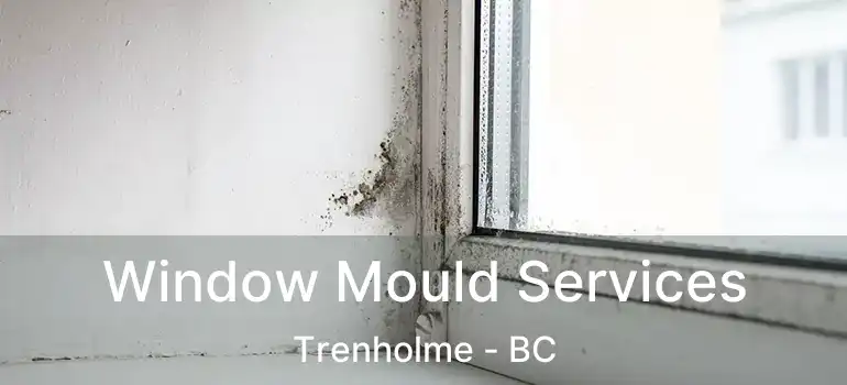  Window Mould Services Trenholme - BC
