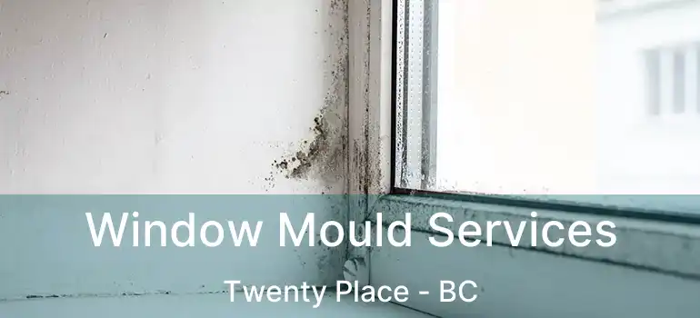  Window Mould Services Twenty Place - BC