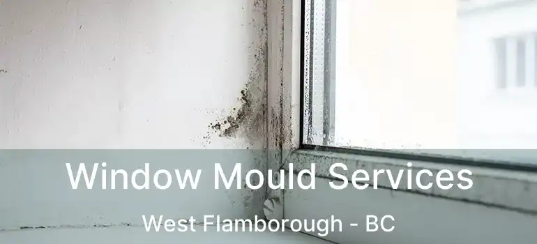  Window Mould Services West Flamborough - BC