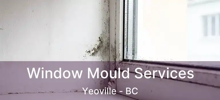  Window Mould Services Yeoville - BC