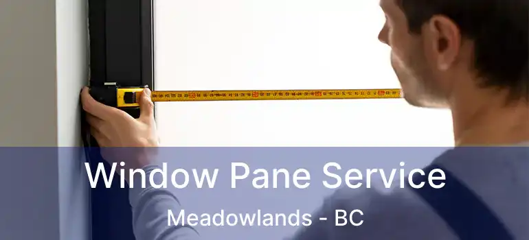  Window Pane Service Meadowlands - BC