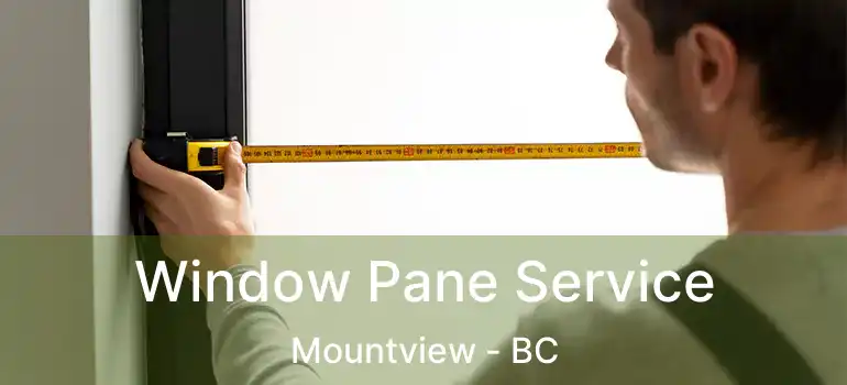  Window Pane Service Mountview - BC