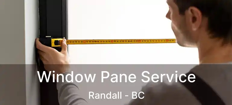  Window Pane Service Randall - BC