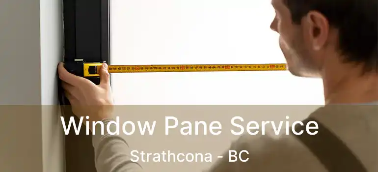  Window Pane Service Strathcona - BC