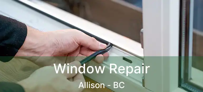  Window Repair Allison - BC