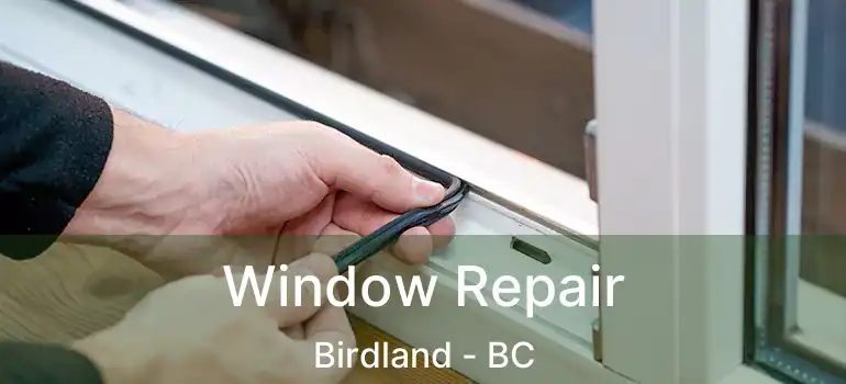  Window Repair Birdland - BC