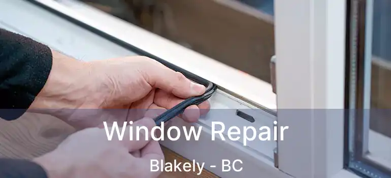  Window Repair Blakely - BC