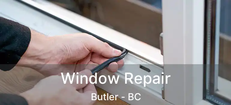  Window Repair Butler - BC