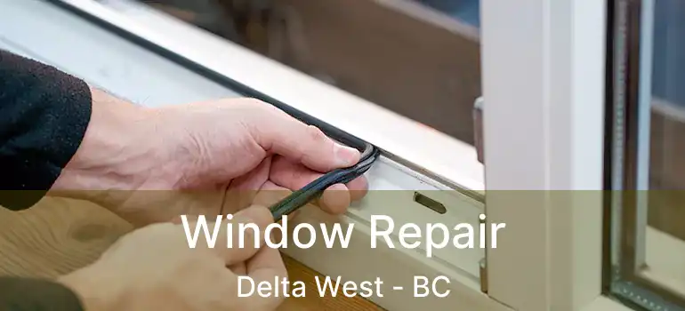  Window Repair Delta West - BC