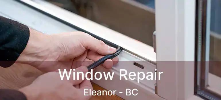  Window Repair Eleanor - BC