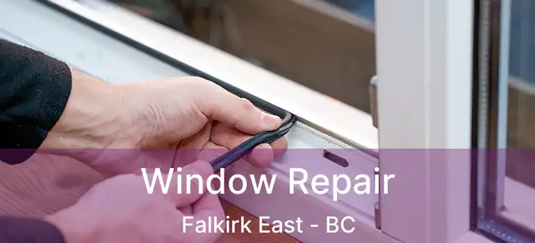  Window Repair Falkirk East - BC