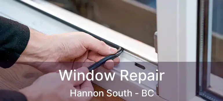 Window Repair Hannon South - BC