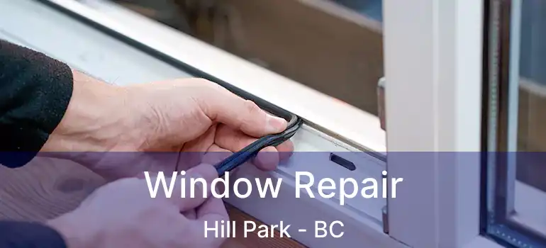 Window Repair Hill Park - BC