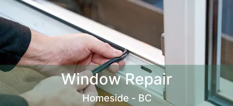  Window Repair Homeside - BC