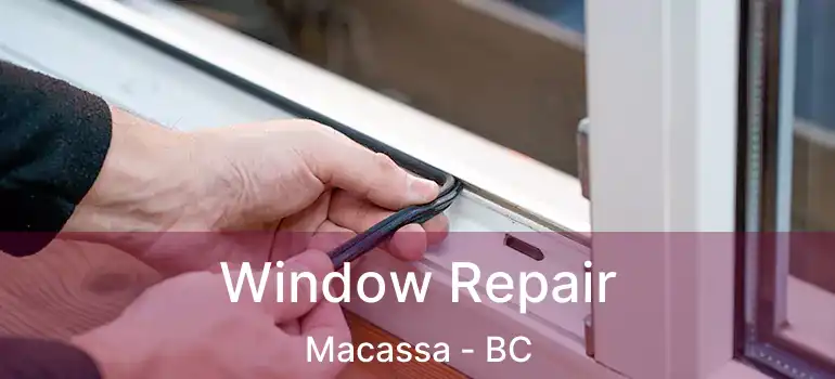  Window Repair Macassa - BC