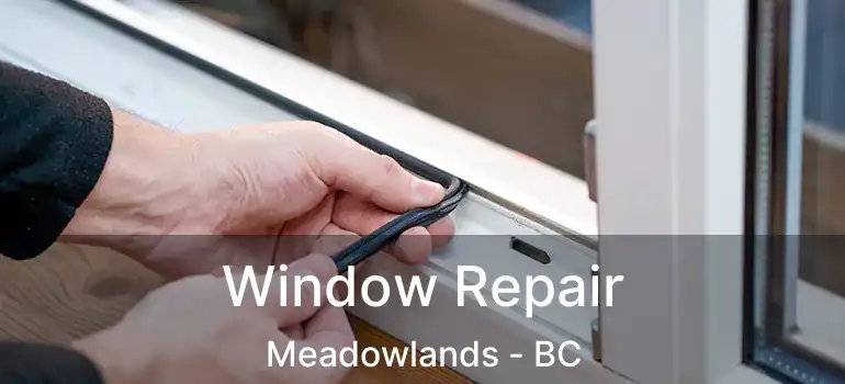  Window Repair Meadowlands - BC
