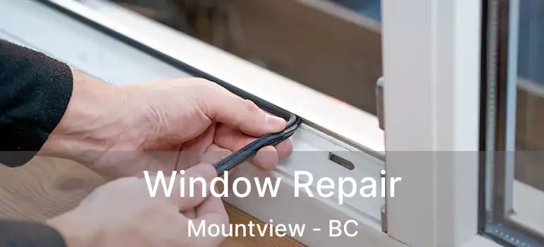  Window Repair Mountview - BC