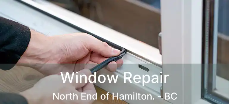  Window Repair North End of Hamilton. - BC