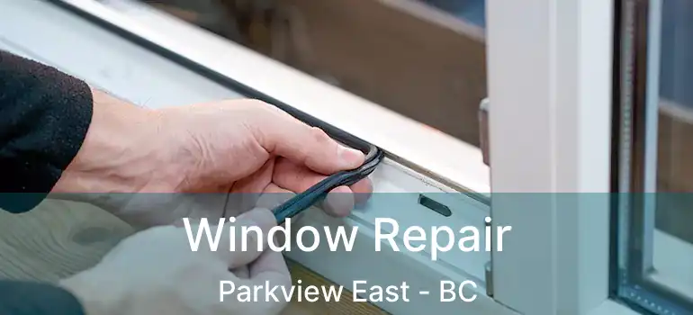  Window Repair Parkview East - BC