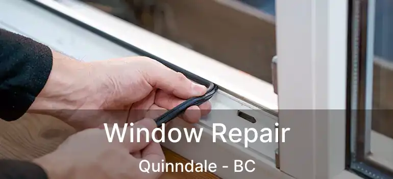  Window Repair Quinndale - BC