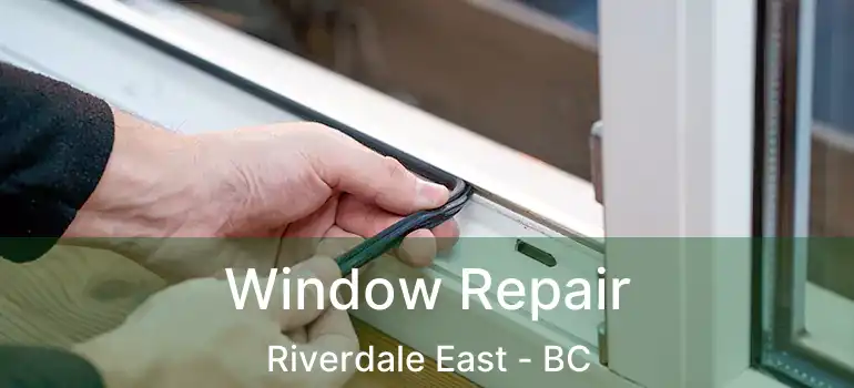  Window Repair Riverdale East - BC